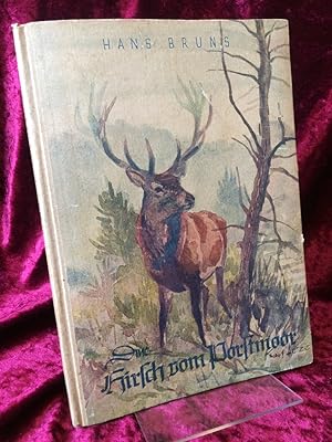 Der Hirsch vom Porstmoor. Aufzeichnungen eines Jägers. Illustriert von Karl Lotze.