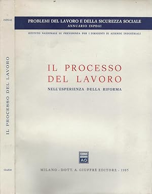 Seller image for Il processo del lavoro Nell'esperienza della riforma for sale by Biblioteca di Babele