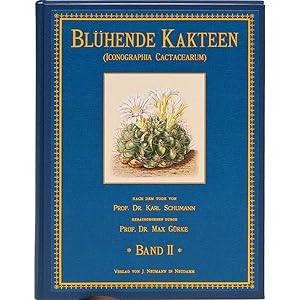 Blühende Kakteen - 2