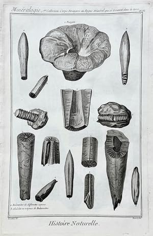 Reino Mineral - Fosiles / Mineralogie, 1ere Collection - Histoire Naturelle - Pl. VL