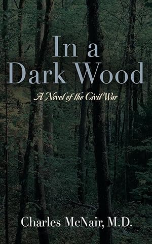 Seller image for In a Dark Wood for sale by moluna