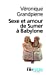 Image du vendeur pour Sexe Amour Sumer Babylon (Folio Histoire) (French Edition) [FRENCH LANGUAGE - Soft Cover ] mis en vente par booksXpress