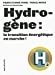 Imagen del vendedor de Hydrogène : la transition énergétique en marche ! [FRENCH LANGUAGE - Soft Cover ] a la venta por booksXpress