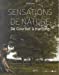 Bild des Verkufers fr Sensations de nature : De Courbet à Hartung [FRENCH LANGUAGE - Soft Cover ] zum Verkauf von booksXpress