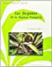 Seller image for Les serpents de la Guyane francaise (Collection Faune tropicale) (French Edition) [FRENCH LANGUAGE - Soft Cover ] for sale by booksXpress