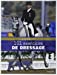 Image du vendeur pour 101 exercices de dressage [FRENCH LANGUAGE - Soft Cover ] mis en vente par booksXpress