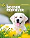 Bild des Verkufers fr GOLDEN RETRIEVER [FRENCH LANGUAGE - Soft Cover ] zum Verkauf von booksXpress