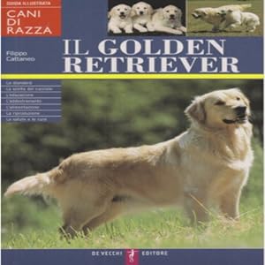 Cani Di Razza - Il Golden Retriever