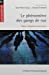 Seller image for Le phénomène des gangs de rue [FRENCH LANGUAGE - Soft Cover ] for sale by booksXpress