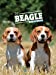 Bild des Verkufers fr le beagle [FRENCH LANGUAGE - Soft Cover ] zum Verkauf von booksXpress