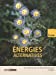 Seller image for énergies alternatives (2e édition) [FRENCH LANGUAGE - Soft Cover ] for sale by booksXpress