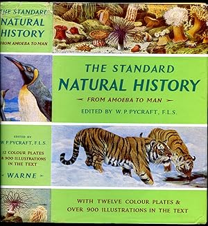 Image du vendeur pour The Standard Natural History from Amoeba to Man. mis en vente par Little Stour Books PBFA Member