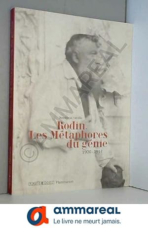 Bild des Verkufers fr Rodin. Les Mtaphores du gnie: 1900-1917 zum Verkauf von Ammareal