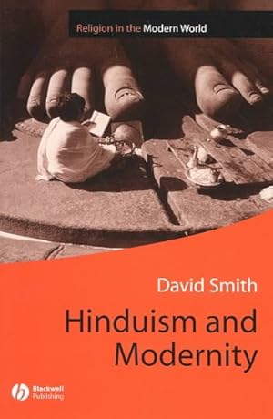 Immagine del venditore per Hinduism and Modernity venduto da GreatBookPricesUK