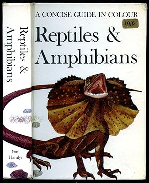 Seller image for Reptiles and Amphibians | A Concise Guide in Colour for sale by Little Stour Books PBFA Member