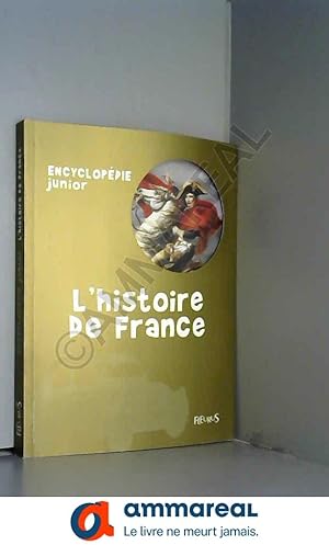 Seller image for L'histoire de France for sale by Ammareal