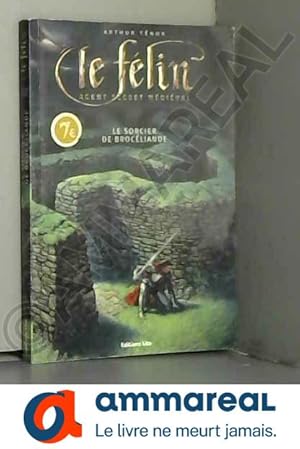 Seller image for Le Flin : Le sorcier de Brocliande ( prim ) for sale by Ammareal