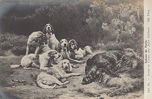 Image du vendeur pour Fox Killed For Dogs To Eat Antique Hunting Painting Postcard mis en vente par Postcard Finder