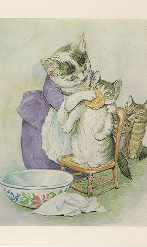 Washing A Cat Cats Nose Beautiful National Trust Postcard