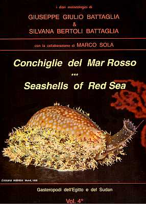 Bild des Verkufers fr Conchiglie del Mar Rosso - Seashells of Red Sea. Gasteropodi dell'Egitto e del Sudan zum Verkauf von ConchBooks