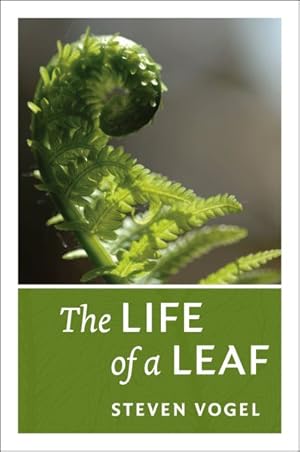 Seller image for Life of a Leaf for sale by GreatBookPrices