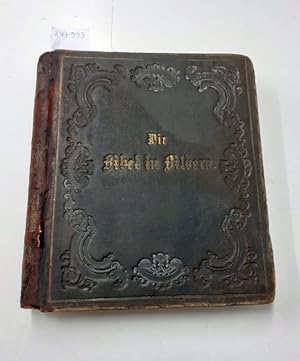Die Bibel in Bildern : 240 Darstellungen, erfunden und auf Holz gezeichnet : Ganzleder - Ausgabe ...