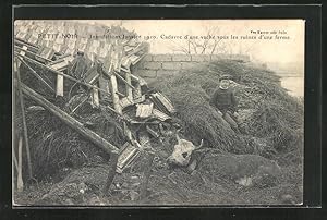 Ansichtskarte Petit-Noir, Inondations Janiver 1910, Cadavre d`une vache sous les ruines d`une fer...