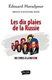 Seller image for Les dix plaies de la russie for sale by RECYCLIVRE
