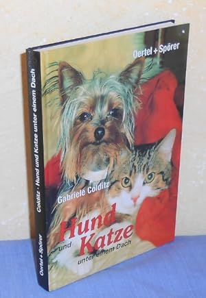 Hund und Katze unter einem Dach