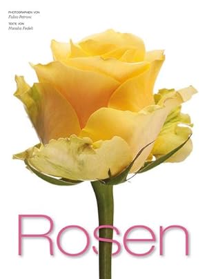 Bild des Verkufers fr Rosen zum Verkauf von AHA-BUCH