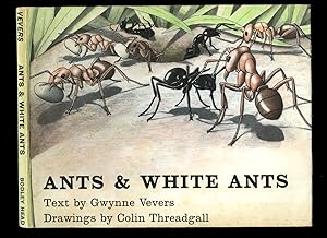 Imagen del vendedor de Ants and White Ants | Bodley Head Natural Science Picture Book Series a la venta por Little Stour Books PBFA Member