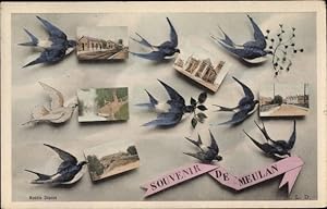 Ansichtskarte / Postkarte Meulan en Yvelines, Souvenir, Schwalben, Tauben