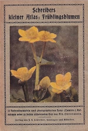 Bild des Verkufers fr Schreibers kleiner Atlas : Frhlingsblumen. zum Verkauf von Antiquariat an der Nikolaikirche