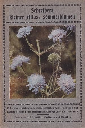 Bild des Verkufers fr Schreibers kleiner Atlas : Sommerblumen. zum Verkauf von Antiquariat an der Nikolaikirche
