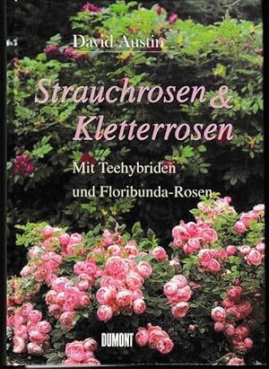 Strauchrosen & Kletterrosen. Mit Teehybriden und Floribunda-Rosen.