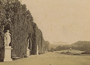 Austria Schoenbrunn Palace Garden Statues Old CDV Photo Kramer 1870's