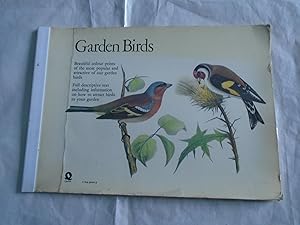 Seller image for Garden Birds for sale by David Pearson