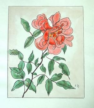 Les Roses Aquarelles et Dessins