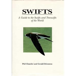 Seller image for Swifts: A Guide to the Swifts and Treeswifts of the World, First edition for sale by Buteo Books