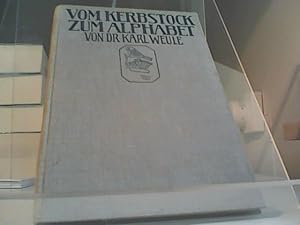 Bild des Verkufers fr Vom Kerbstock zum Alphabet : Ersatzmittel u. Vorstufen d. Schrift. zum Verkauf von Eichhorn GmbH