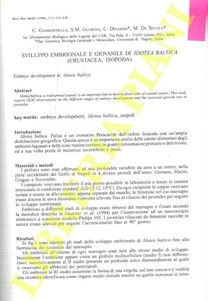 Bild des Verkufers fr Sviluppo embrionale e giovanile di Idotea baltica (Crustacea, Isopoda). zum Verkauf von Libreria Piani