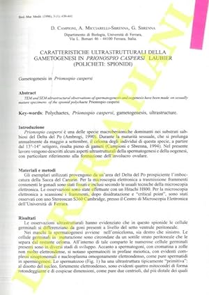 Caratteristiche ultrastrutturali della gametogenesi in Prionospio caspersi Laubier (Policheti: Sp...