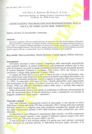 Associazione macroalghe-macrozoobenthos nella Sacca di Goro (alto Mar Adriatico).