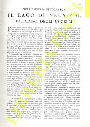 Il lago di Neusiedl, paradiso degli uccelli.