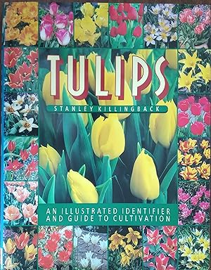 Tulips - An Illustrated Identifier and Guide to Cultivation
