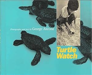 Turtle Watch