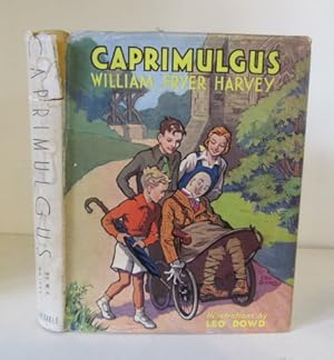 Caprimulgus