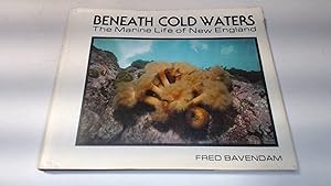Seller image for Beneath Cold Waters: The Marine Life of New England for sale by BoundlessBookstore