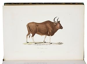 Souvenirs dun voyage dans lInde execute de 1834 a 1839. Ouvrage enrichi de trente-cinq planches...