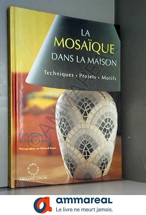 Image du vendeur pour La mosaque dans la maison : Techniques, projets, motifs mis en vente par Ammareal